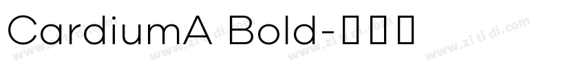 CardiumA Bold字体转换